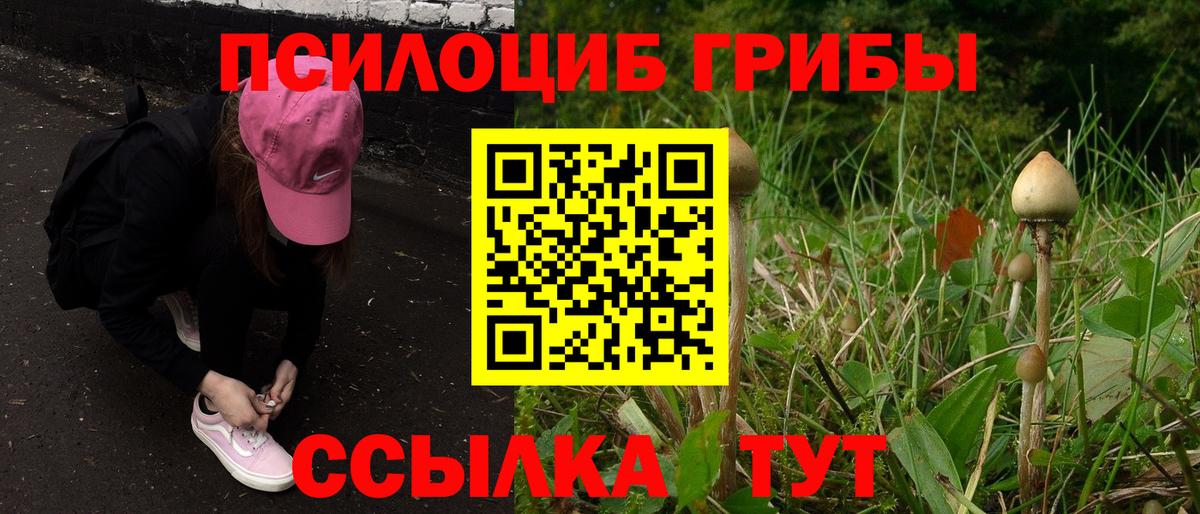 как найти наркотики  Вход с VPN  Коряжма  Галлюциногенные грибы Cubensis 