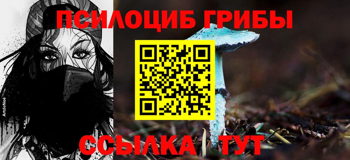 Галлюциногенные грибы GOLDEN TEACHER Коряжма