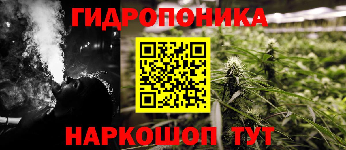Коряжма  Марихуана конопля  Бошки марихуана THC 21%  Каннабис White Widow  Вход с VPN 