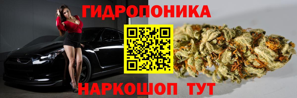 Марихуана планчик Коряжма